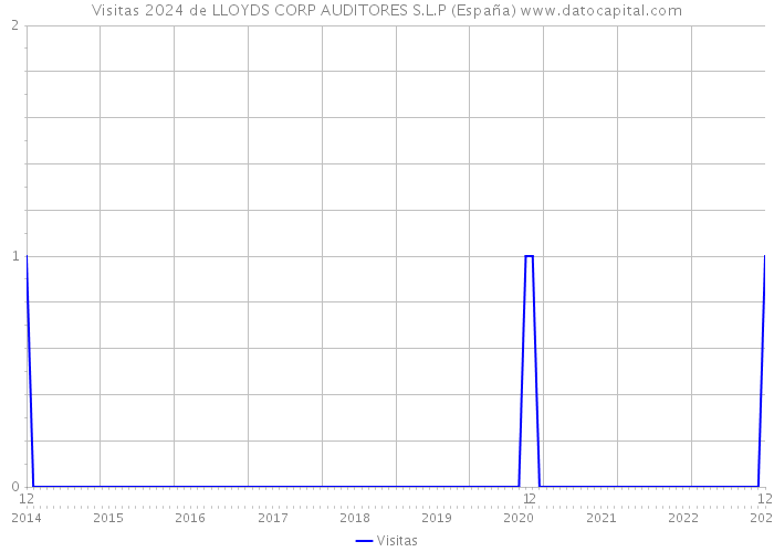 Visitas 2024 de LLOYDS CORP AUDITORES S.L.P (España) 