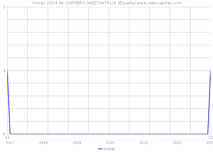 Visitas 2024 de CARNERO SAEZ NATALIA (España) 