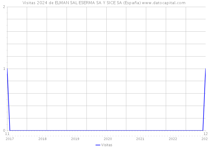 Visitas 2024 de ELMAN SAL ESERMA SA Y SICE SA (España) 