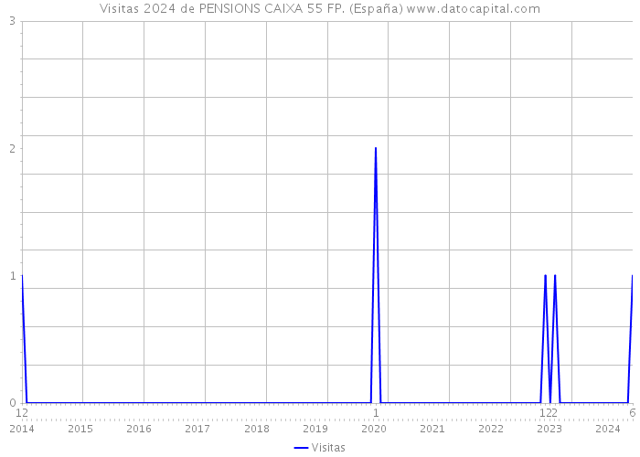 Visitas 2024 de PENSIONS CAIXA 55 FP. (España) 