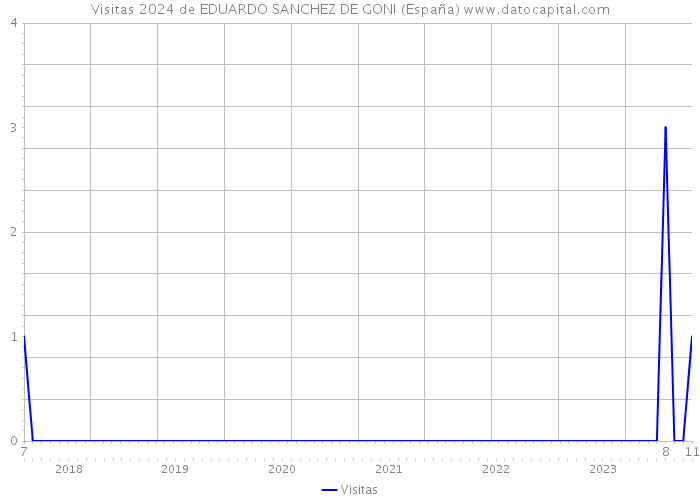 Visitas 2024 de EDUARDO SANCHEZ DE GONI (España) 