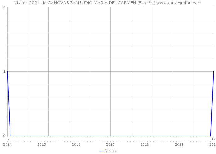 Visitas 2024 de CANOVAS ZAMBUDIO MARIA DEL CARMEN (España) 