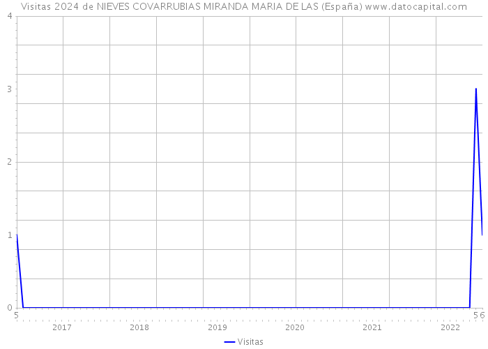 Visitas 2024 de NIEVES COVARRUBIAS MIRANDA MARIA DE LAS (España) 