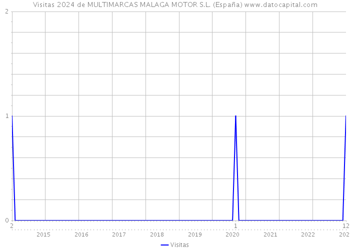Visitas 2024 de MULTIMARCAS MALAGA MOTOR S.L. (España) 