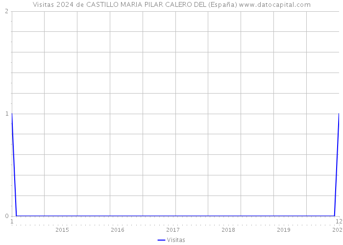 Visitas 2024 de CASTILLO MARIA PILAR CALERO DEL (España) 