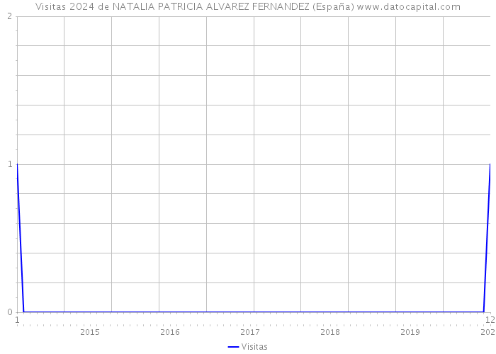 Visitas 2024 de NATALIA PATRICIA ALVAREZ FERNANDEZ (España) 