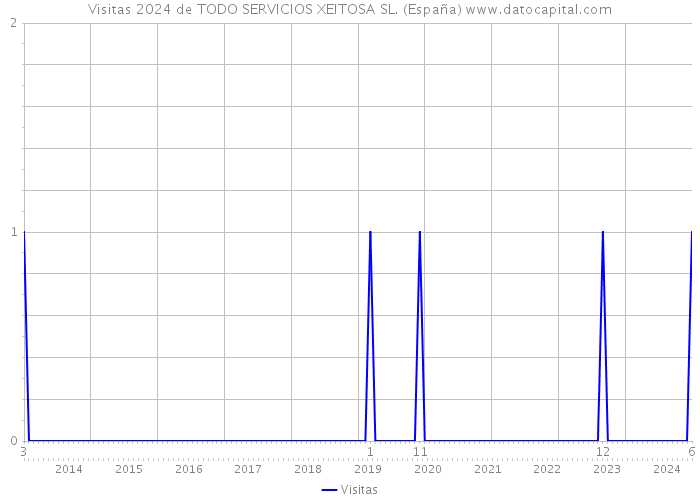 Visitas 2024 de TODO SERVICIOS XEITOSA SL. (España) 