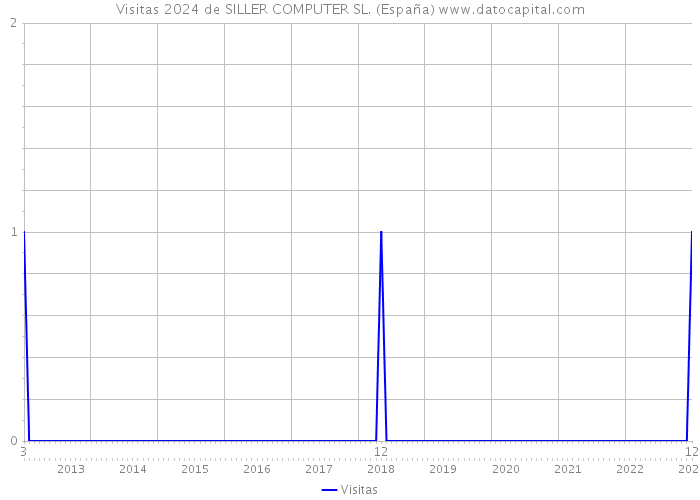 Visitas 2024 de SILLER COMPUTER SL. (España) 