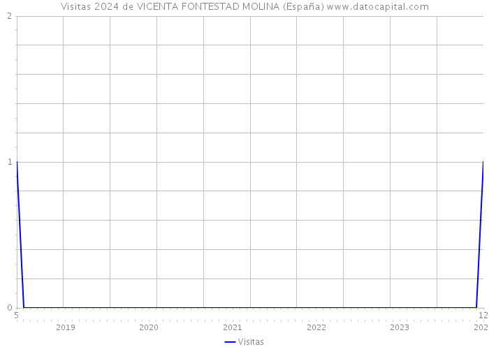 Visitas 2024 de VICENTA FONTESTAD MOLINA (España) 