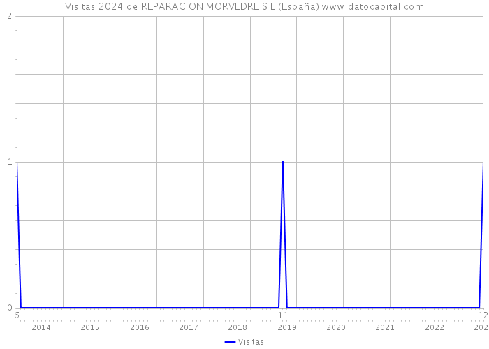 Visitas 2024 de REPARACION MORVEDRE S L (España) 
