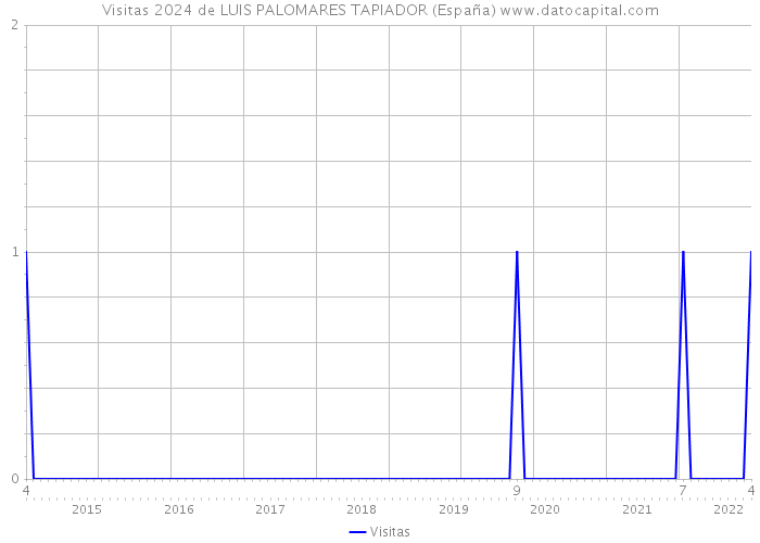 Visitas 2024 de LUIS PALOMARES TAPIADOR (España) 