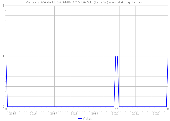 Visitas 2024 de LUZ-CAMINO Y VIDA S.L. (España) 