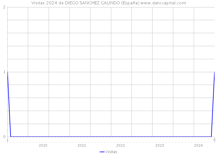 Visitas 2024 de DIEGO SANCHEZ GALINDO (España) 