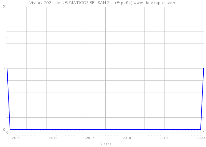 Visitas 2024 de NEUMATICOS BELISAN S.L. (España) 