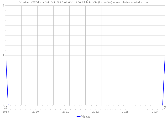 Visitas 2024 de SALVADOR ALAVEDRA PEÑALVA (España) 