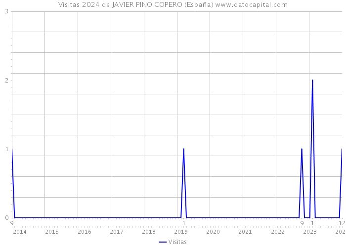 Visitas 2024 de JAVIER PINO COPERO (España) 