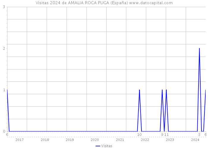 Visitas 2024 de AMALIA ROCA PUGA (España) 