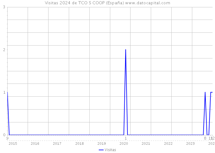 Visitas 2024 de TCO S COOP (España) 
