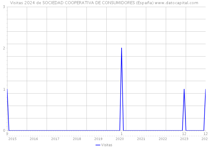 Visitas 2024 de SOCIEDAD COOPERATIVA DE CONSUMIDORES (España) 