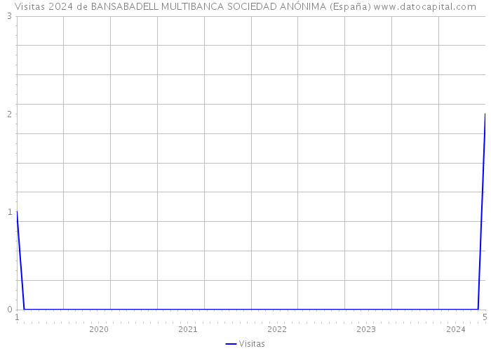 Visitas 2024 de BANSABADELL MULTIBANCA SOCIEDAD ANÓNIMA (España) 