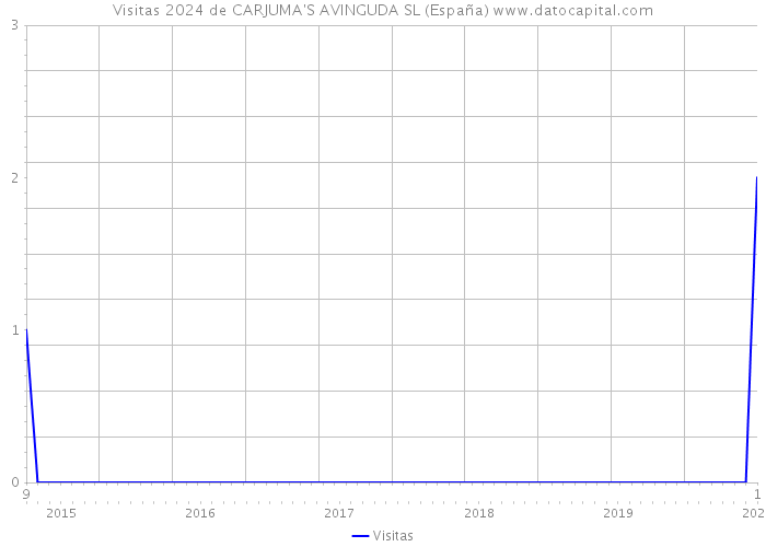 Visitas 2024 de CARJUMA'S AVINGUDA SL (España) 