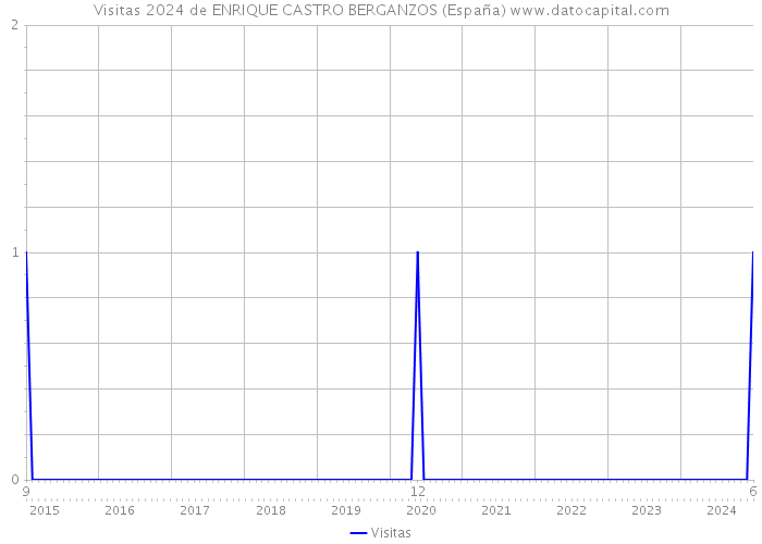 Visitas 2024 de ENRIQUE CASTRO BERGANZOS (España) 