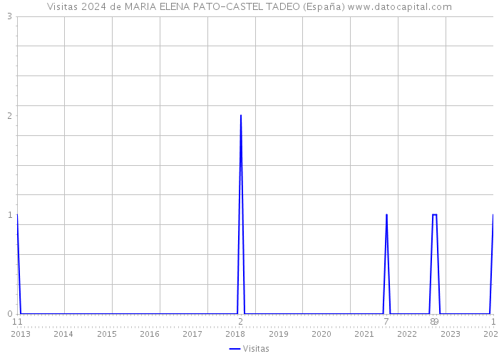 Visitas 2024 de MARIA ELENA PATO-CASTEL TADEO (España) 