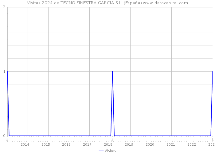 Visitas 2024 de TECNO FINESTRA GARCIA S.L. (España) 
