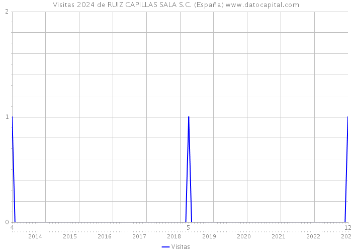 Visitas 2024 de RUIZ CAPILLAS SALA S.C. (España) 