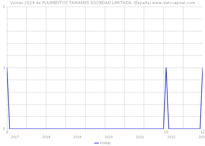 Visitas 2024 de PULIMENTOS TAMAMES SOCIEDAD LIMITADA. (España) 