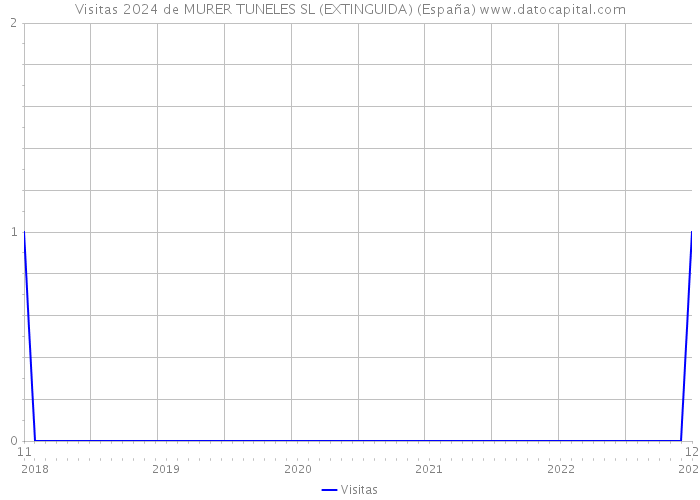 Visitas 2024 de MURER TUNELES SL (EXTINGUIDA) (España) 