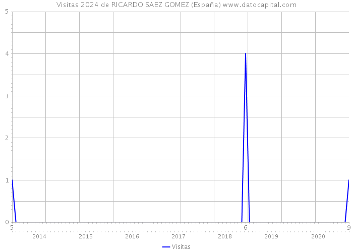 Visitas 2024 de RICARDO SAEZ GOMEZ (España) 