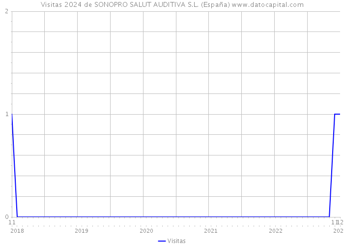 Visitas 2024 de SONOPRO SALUT AUDITIVA S.L. (España) 