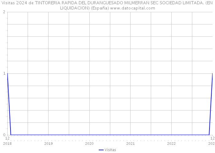 Visitas 2024 de TINTORERIA RAPIDA DEL DURANGUESADO MILMERRAN SEC SOCIEDAD LIMITADA. (EN LIQUIDACION) (España) 