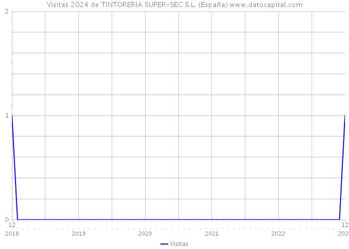 Visitas 2024 de TINTORERIA SUPER-SEC S.L. (España) 