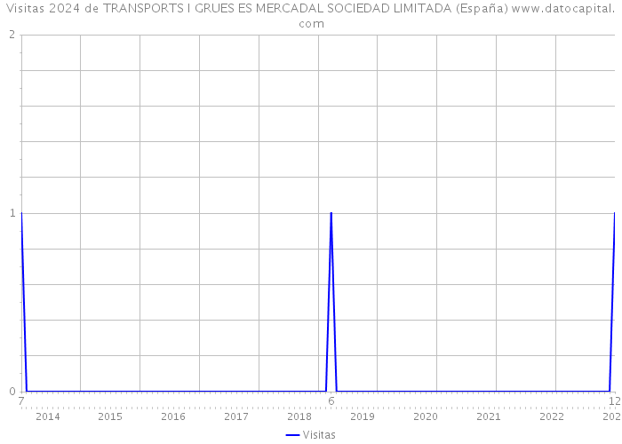 Visitas 2024 de TRANSPORTS I GRUES ES MERCADAL SOCIEDAD LIMITADA (España) 