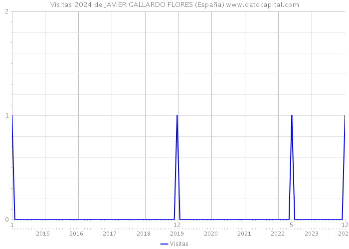 Visitas 2024 de JAVIER GALLARDO FLORES (España) 