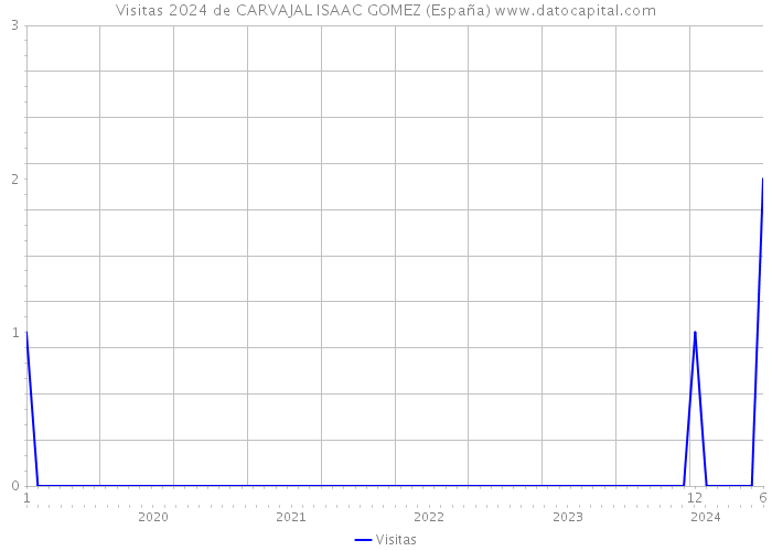 Visitas 2024 de CARVAJAL ISAAC GOMEZ (España) 