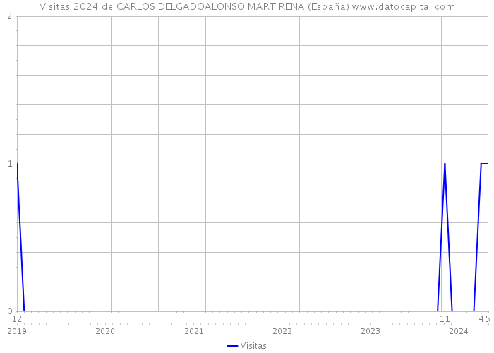 Visitas 2024 de CARLOS DELGADOALONSO MARTIRENA (España) 