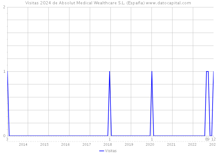 Visitas 2024 de Absolut Medical Wealthcare S.L. (España) 