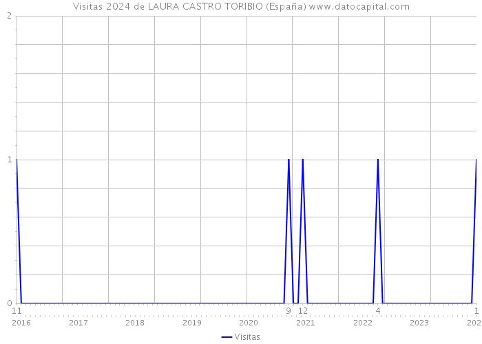 Visitas 2024 de LAURA CASTRO TORIBIO (España) 