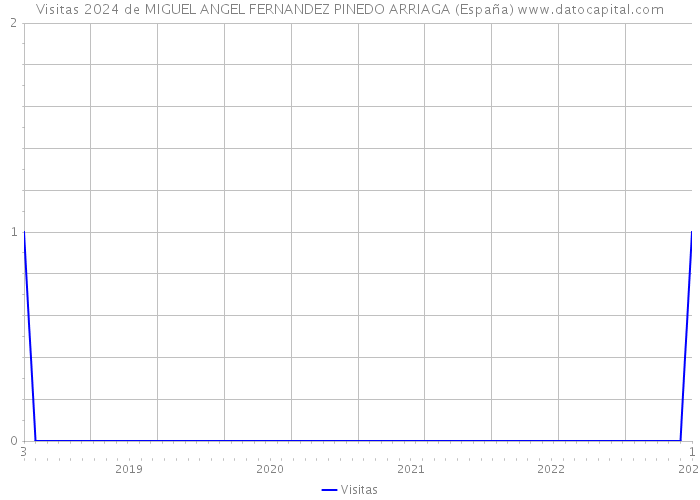 Visitas 2024 de MIGUEL ANGEL FERNANDEZ PINEDO ARRIAGA (España) 