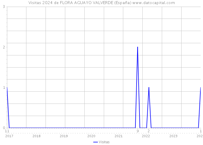 Visitas 2024 de FLORA AGUAYO VALVERDE (España) 