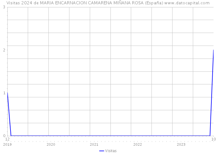 Visitas 2024 de MARIA ENCARNACION CAMARENA MIÑANA ROSA (España) 