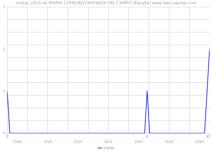 Visitas 2024 de MARIA CONSUELO MANADA DEL CAMPO (España) 