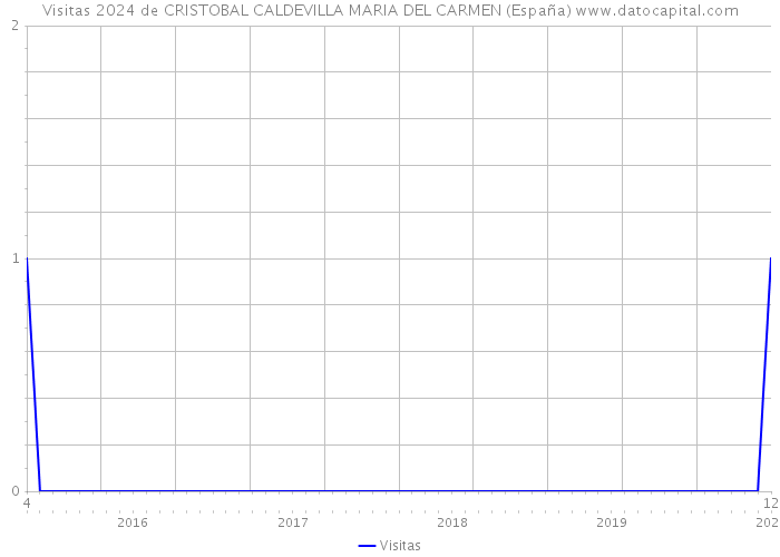 Visitas 2024 de CRISTOBAL CALDEVILLA MARIA DEL CARMEN (España) 