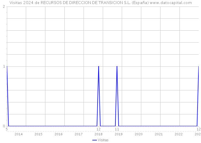 Visitas 2024 de RECURSOS DE DIRECCION DE TRANSICION S.L. (España) 