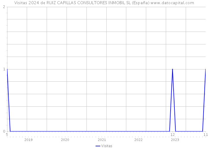 Visitas 2024 de RUIZ CAPILLAS CONSULTORES INMOBIL SL (España) 