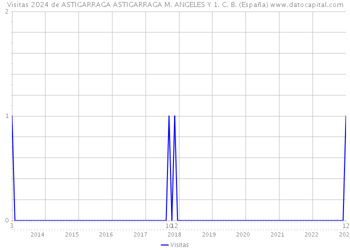 Visitas 2024 de ASTIGARRAGA ASTIGARRAGA M. ANGELES Y 1. C. B. (España) 