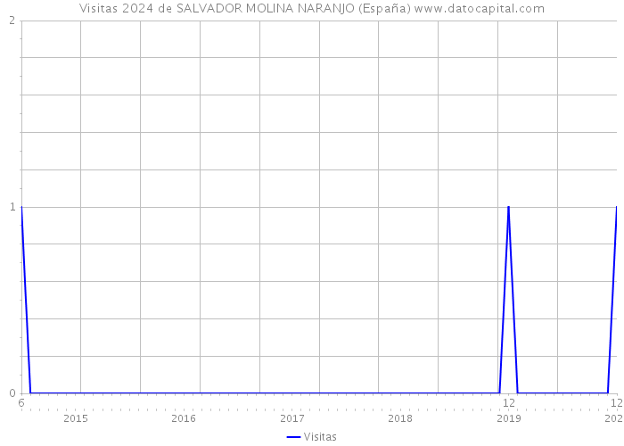 Visitas 2024 de SALVADOR MOLINA NARANJO (España) 